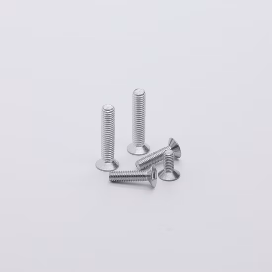 Hochwertige Titan-Befestigungselemente Ta2 Tc4-Schraube Ti Gr5 M2-Schraube